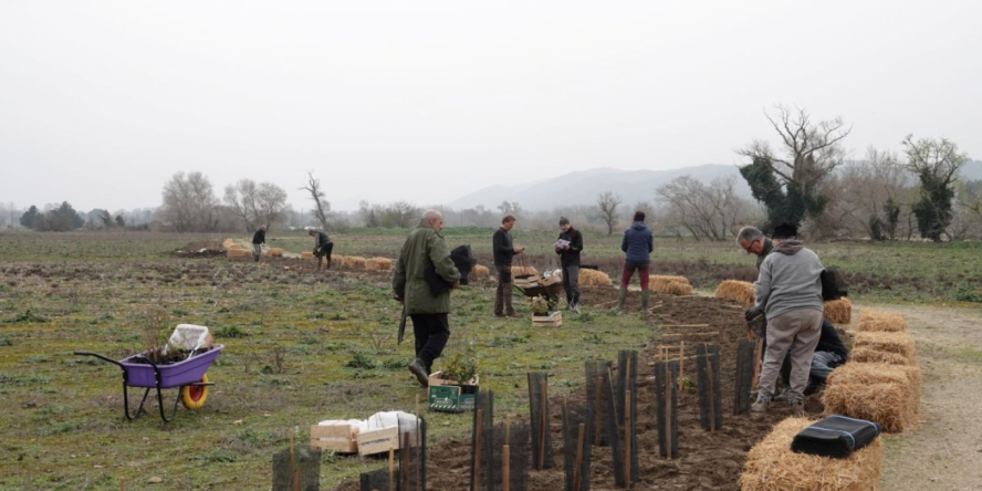 Chantier de plantation de haies à Cadenet © Anaëlle Francia
